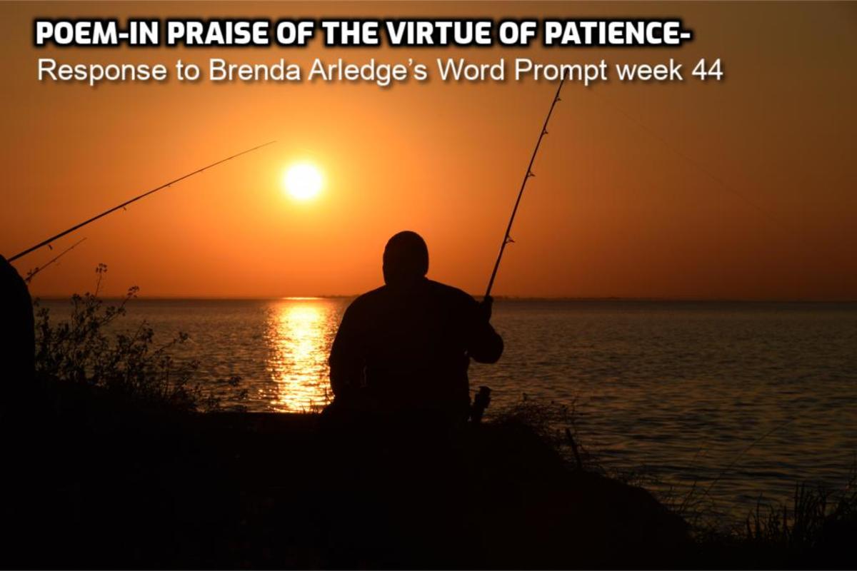 Poem-In Praise of the Virtue of Patience-Response to Brenda Arledge’s Word Prompt Week 44 ‘patience’