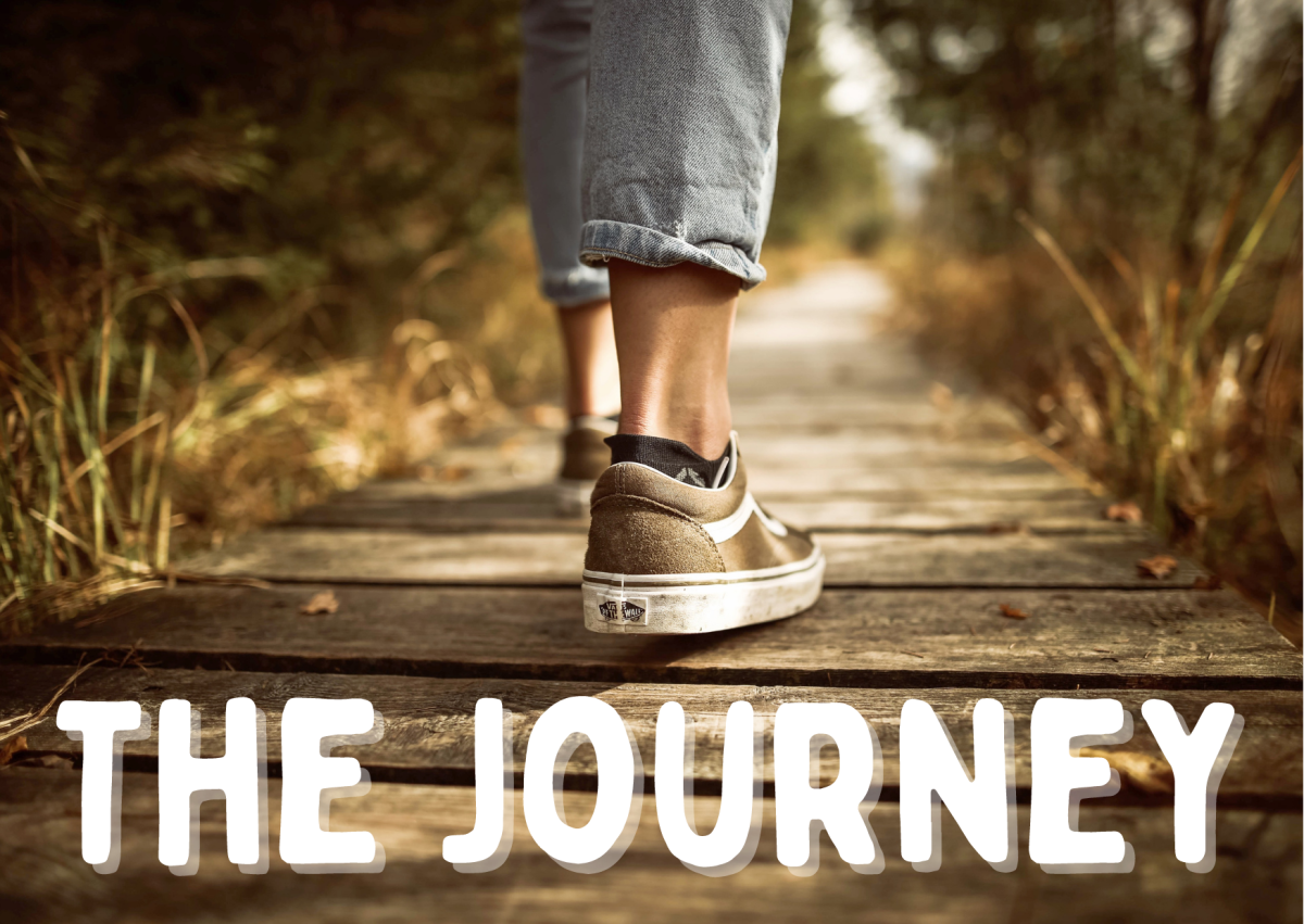 The Journey (New Years Day Special Poem)