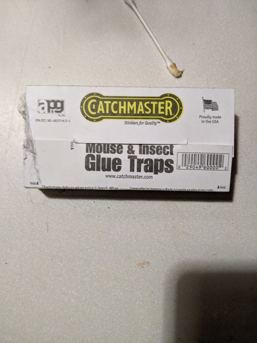 mice-using-a-sticky-trap-by-catchmaster