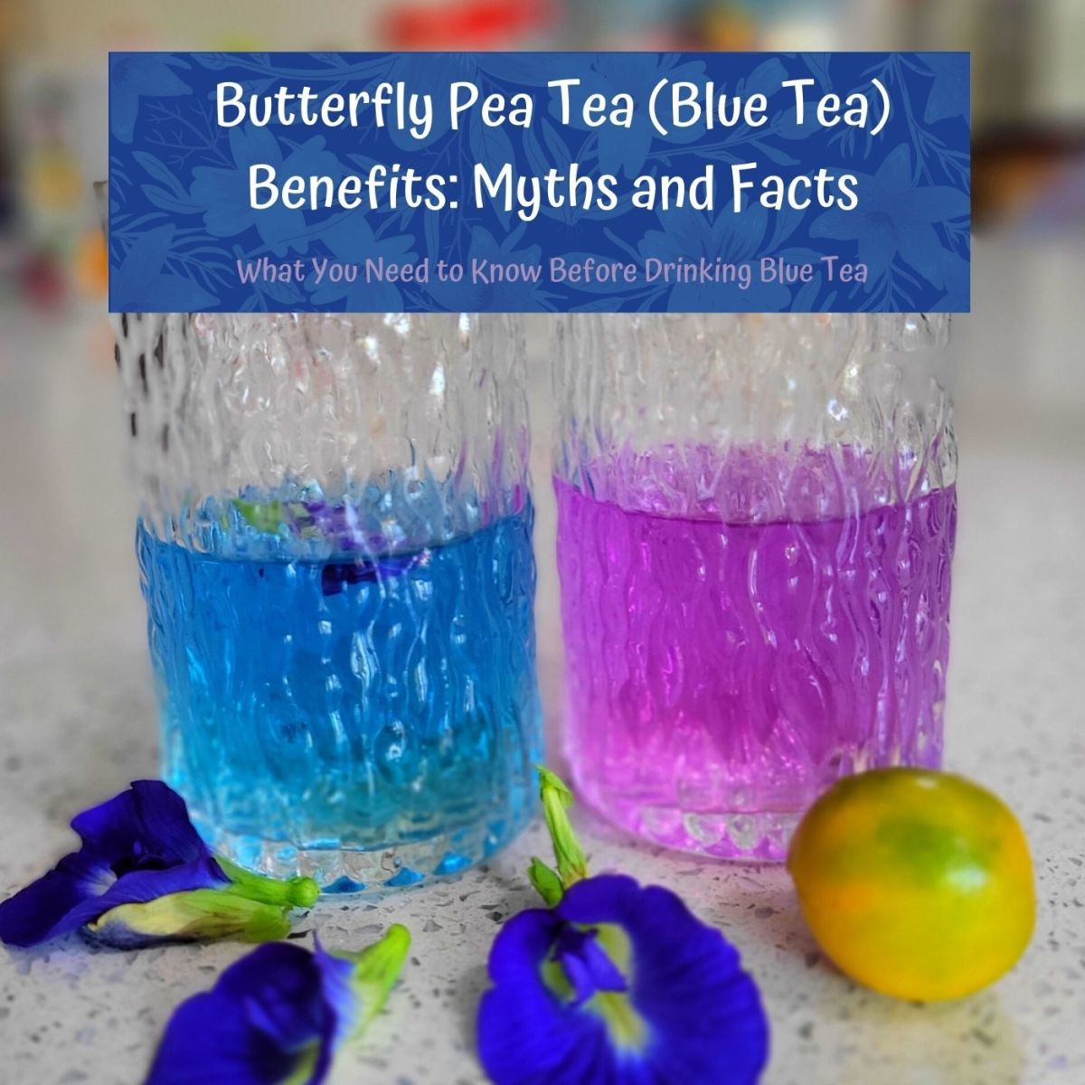Butterfly Pea Tea (Blue Tea) Benefits, Myths, and Facts