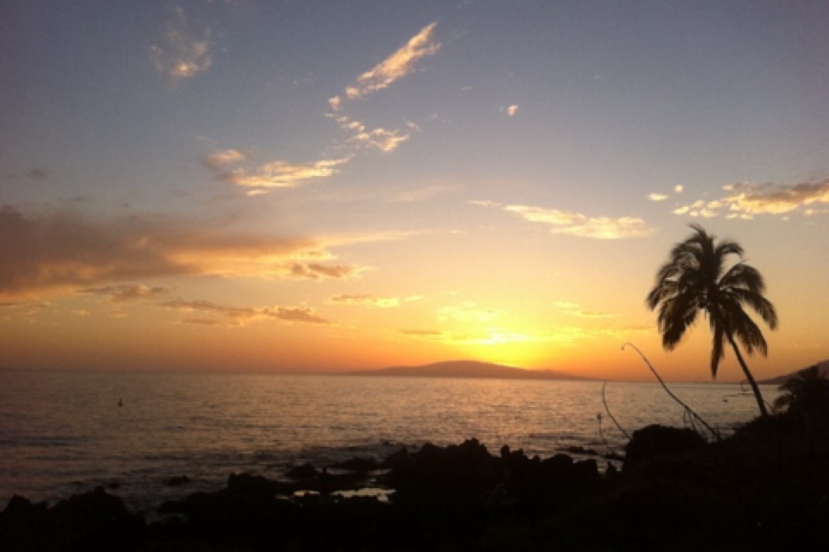 How to Get a Pre-Travel Covid-19 Test in Maui (With Expedited Results and Walk-Ins)