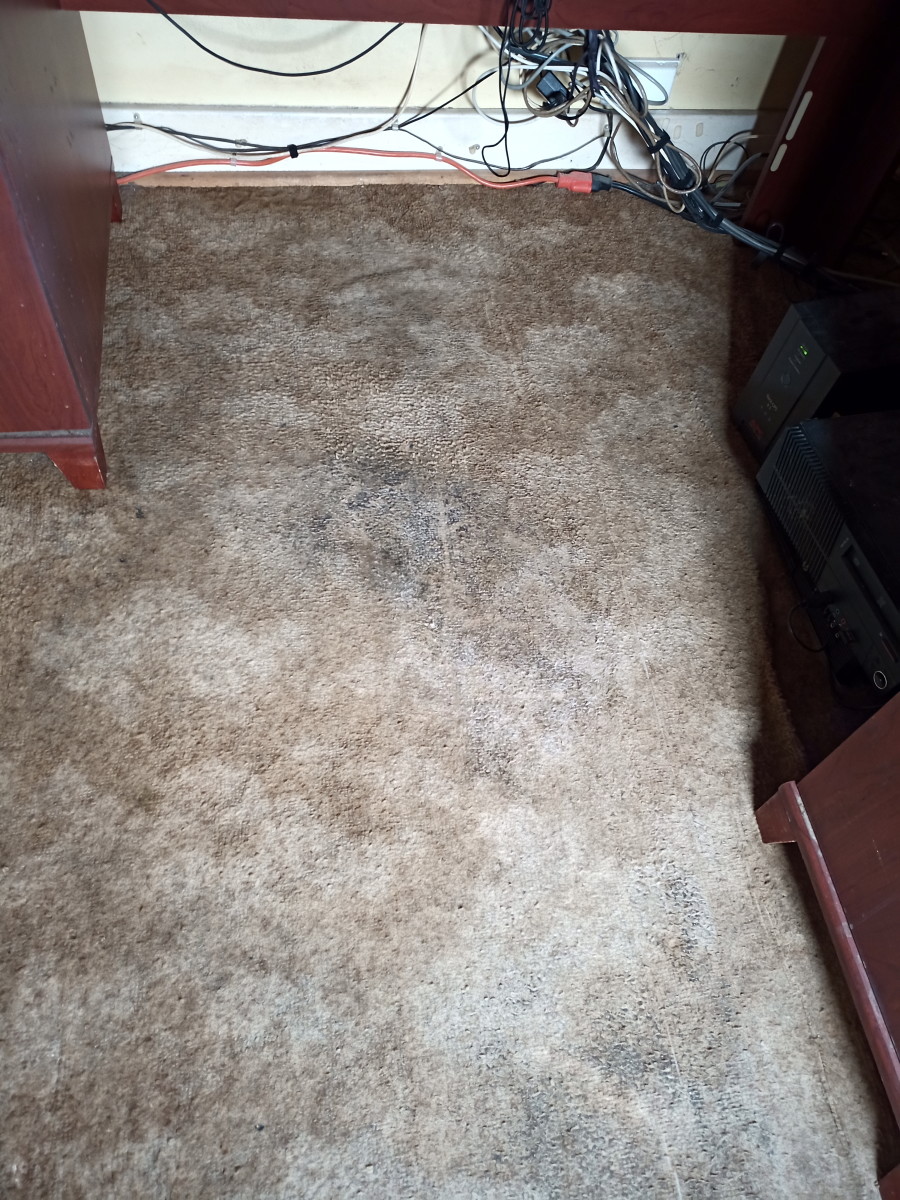 After mopping.  Although the photograph shows little difference, the carpet is solfter and smells fresh