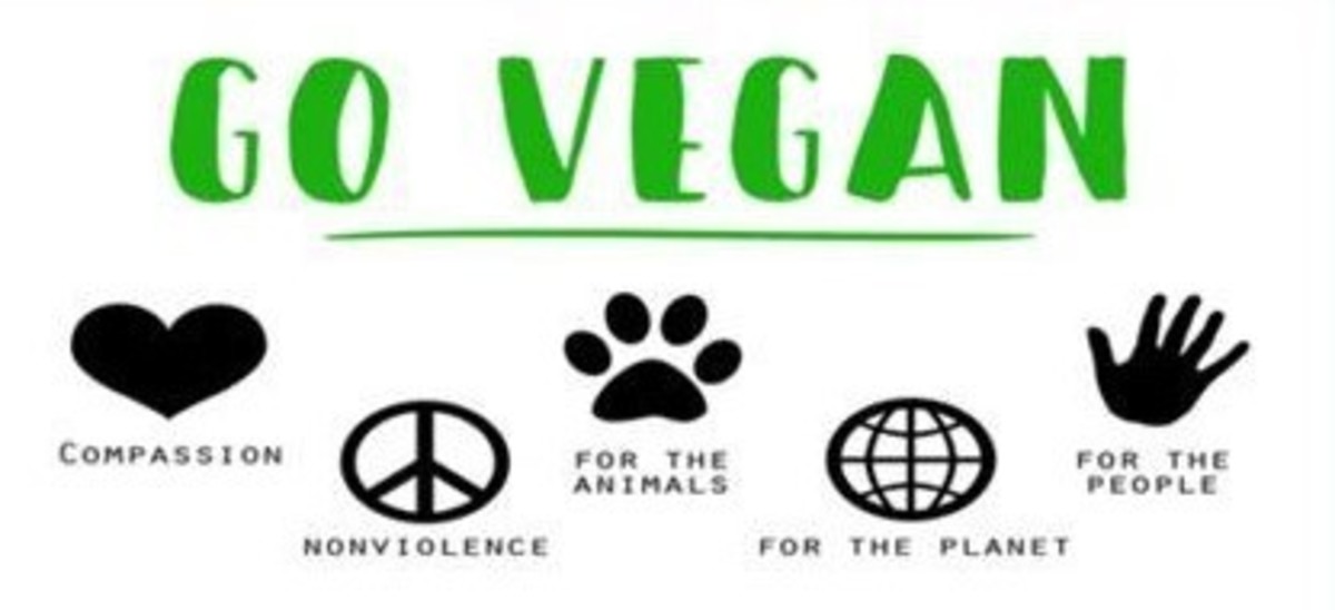 why-should-i-become-vegan