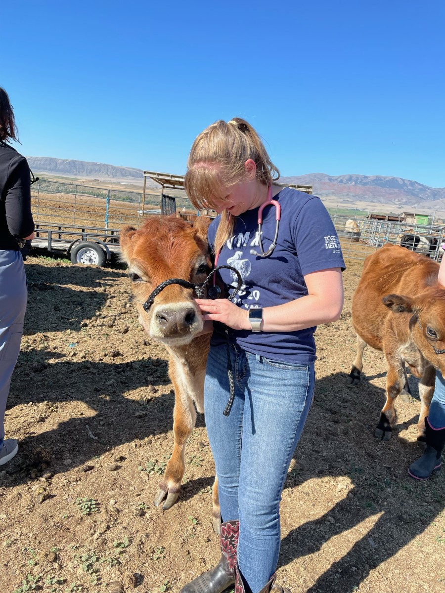 Vet techs must be knowledgeable about all animals, including farm animals. My large animal clinical rotation was one of the highlights of my schooling. 
