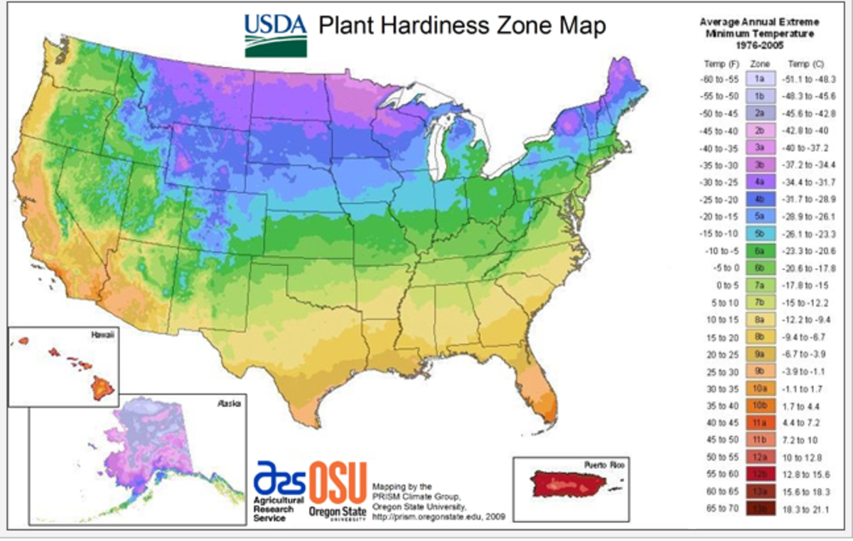 This map gives a general idea of where the major hardiness zones in the US are located.  For more detailed information for your area, it's necessary to consult the regional and state hardiness zone maps, as local temperatures can vary wildly.