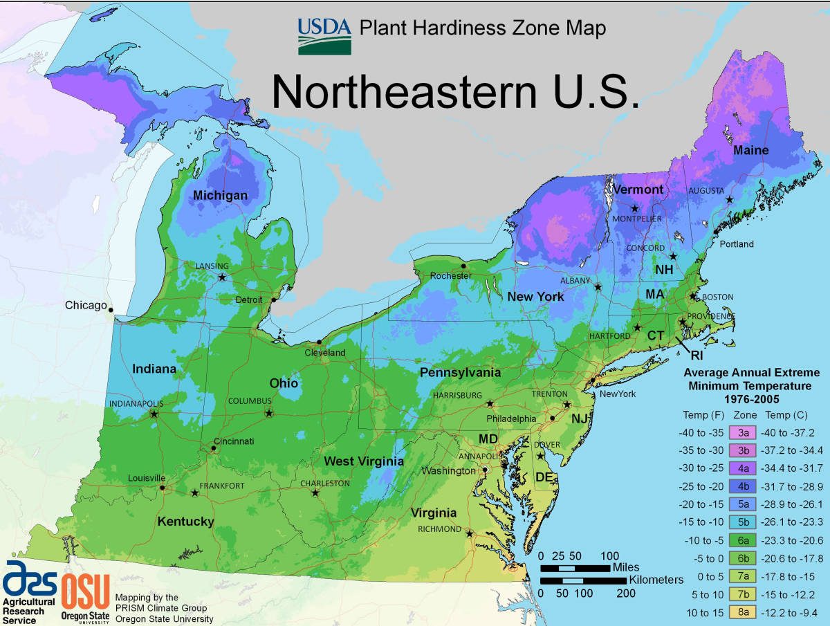 Hardiness Zones, Northeastern US
