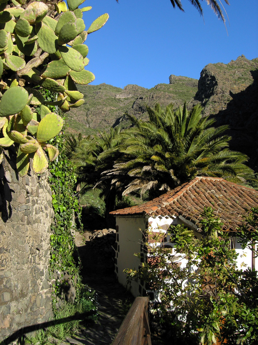 The Masa area is stunning and should be seen when in Tenerife.