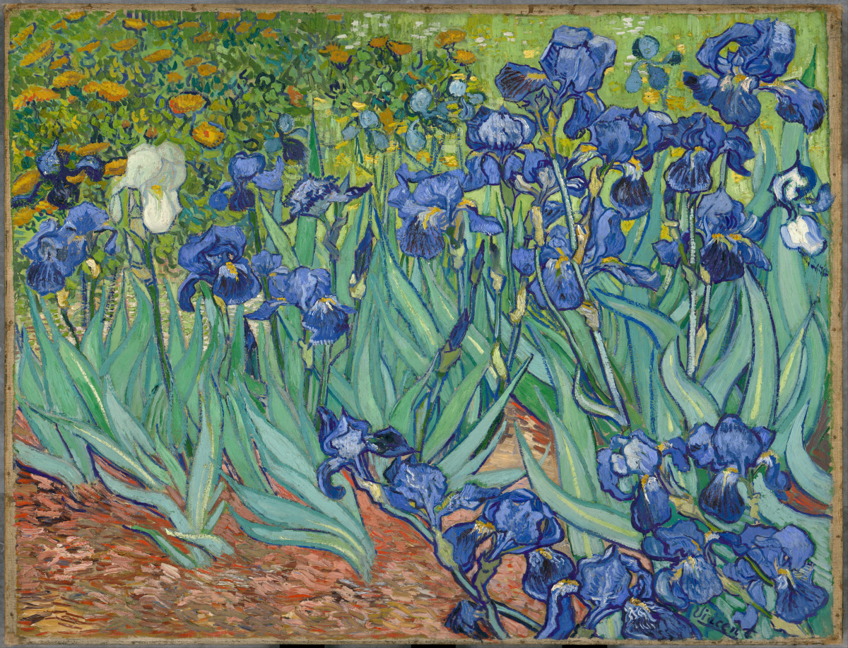 Irises by Vincent van Gogh, one of the paintings on display at The Getty Center in Los Angeles.