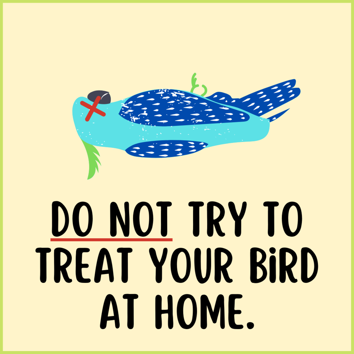 Though it might be tempting to try to treat your bird at home, it's a terrible idea. 