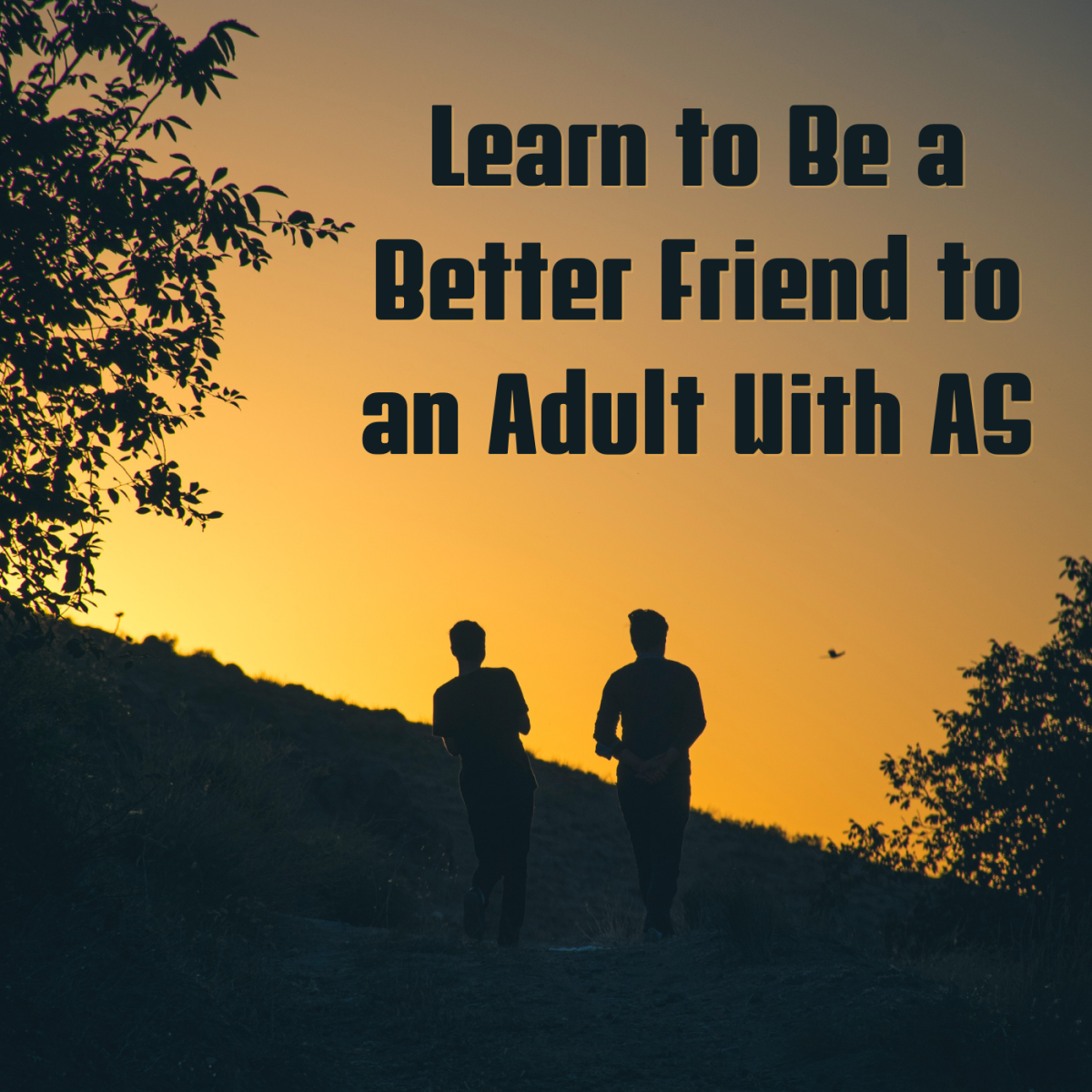 Your friend with Aspergers Syndrome has to constantly accommodate you in conversations. Learn how you can alleviate some of their burden and accommodate them as well.