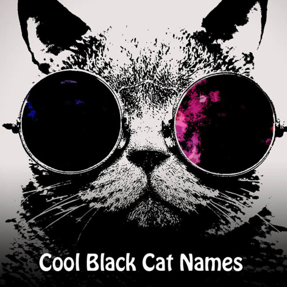 Cool Names for Black Cats