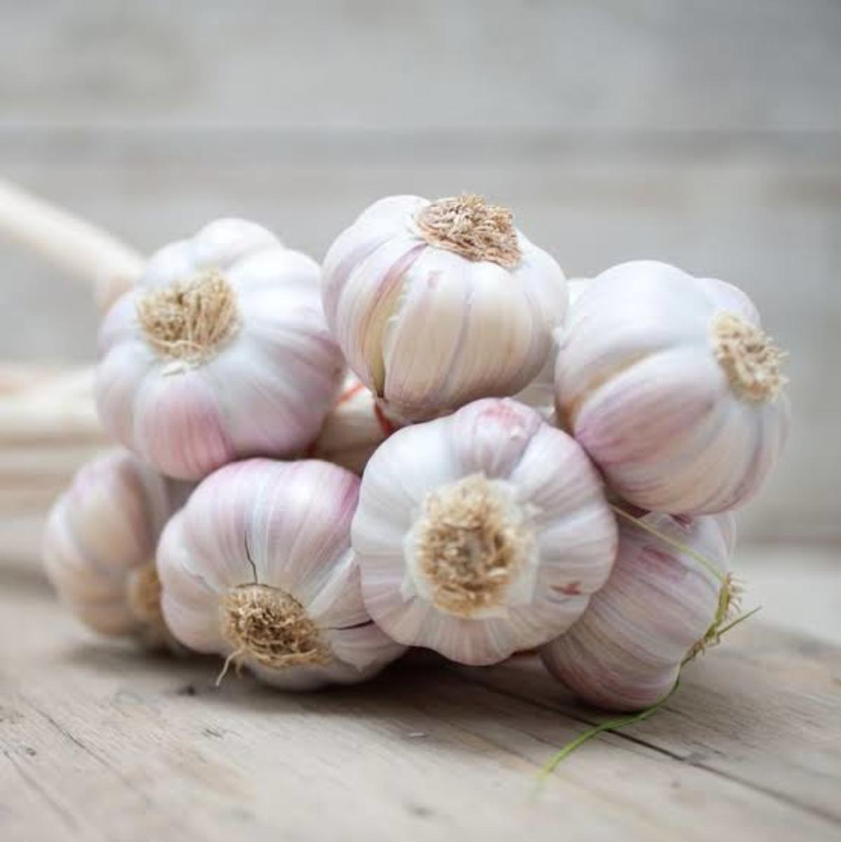 10 Health Benefits of Garlic That You Did Not Know