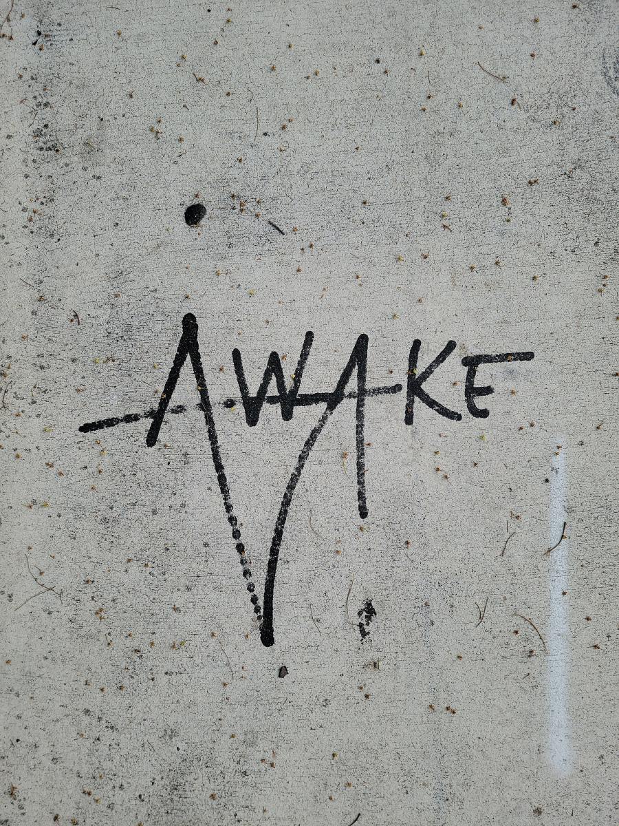 review-of-the-album-awake-by-the-band-crematory