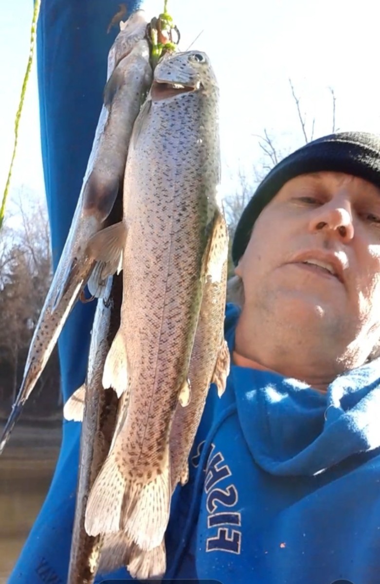 Rainbow Trout caught at Six-Acre Pond in Kentucky in January 2022.