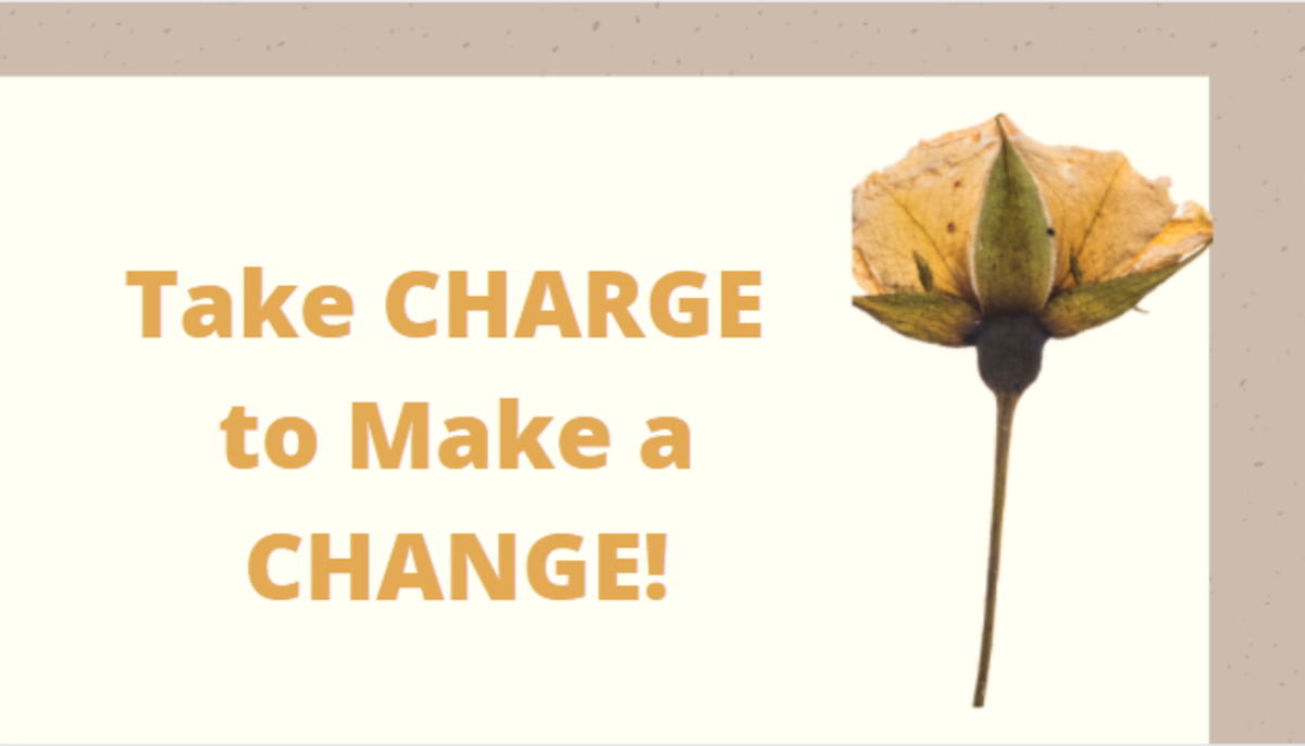 Take Charge to Make a Change