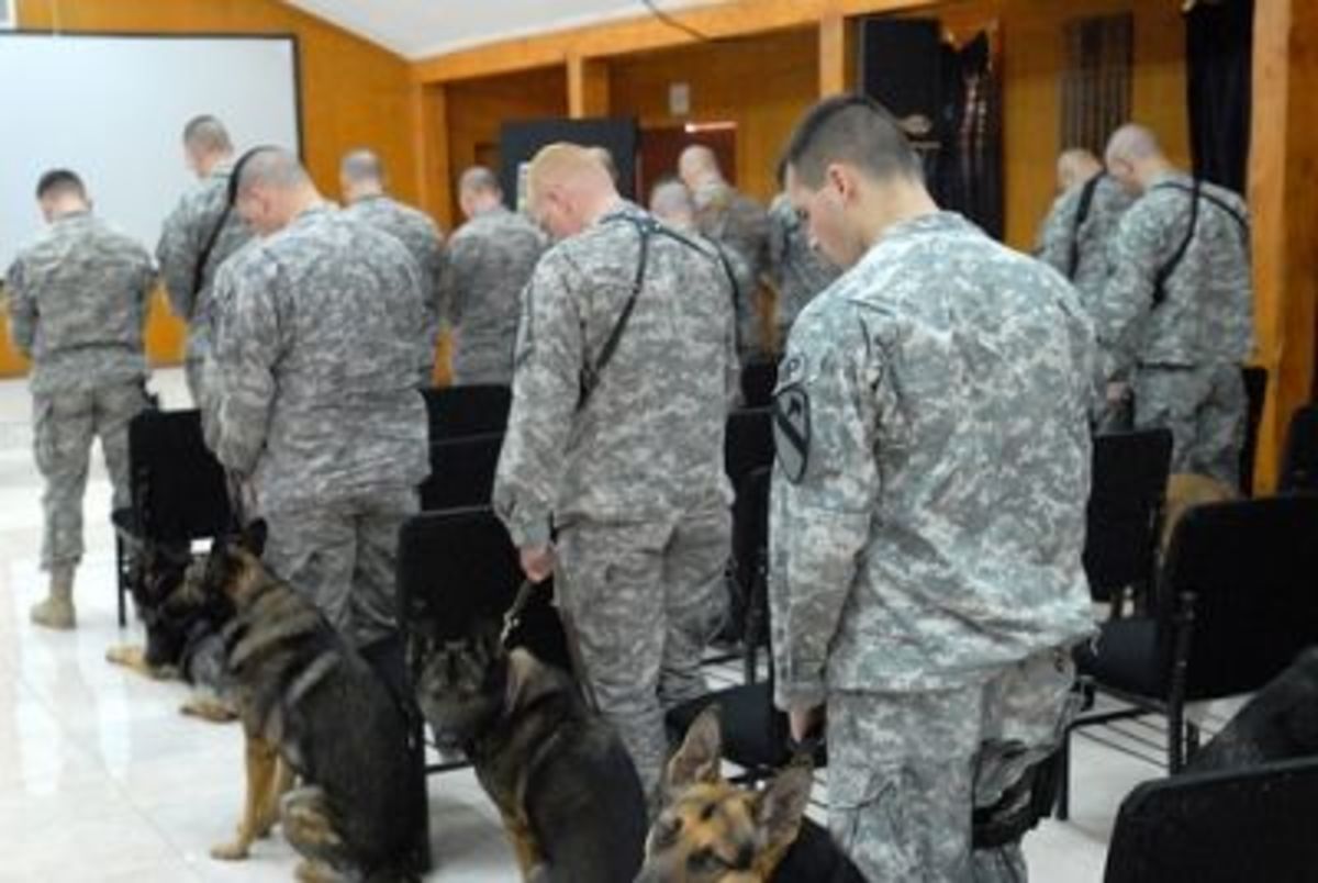 Ceremony for Military Working Dog Kevin