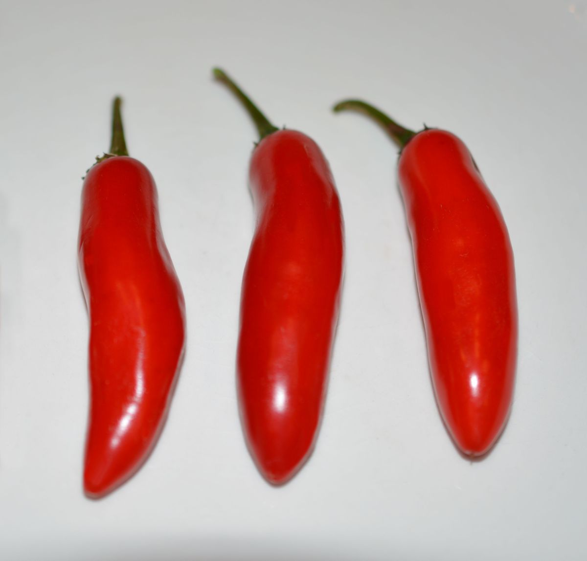 I grew these red hot chili peppers in my garden a few years ago, and ended up drying and crushing them for use in keeping rabbits off of my flowers.