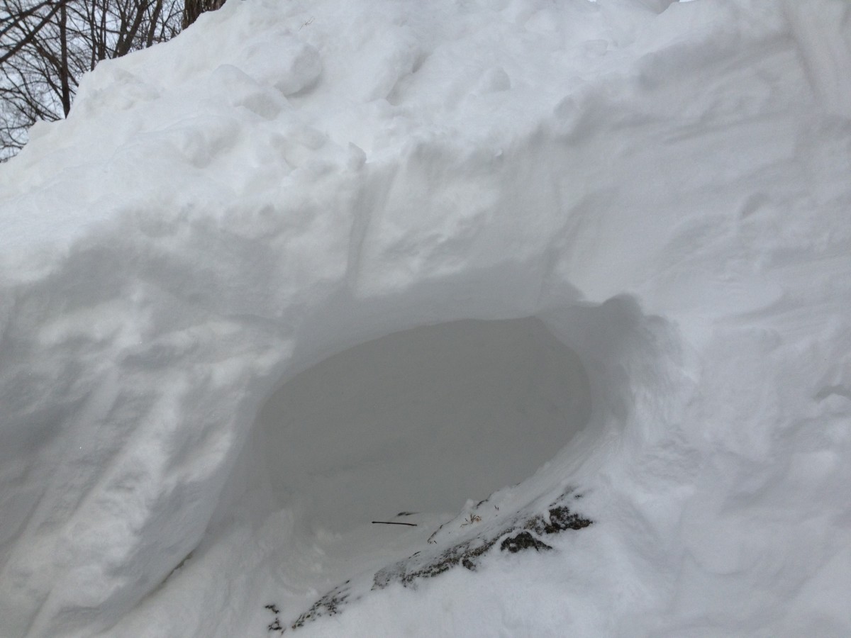 Snow forts can be as small or as large as you want it to be!