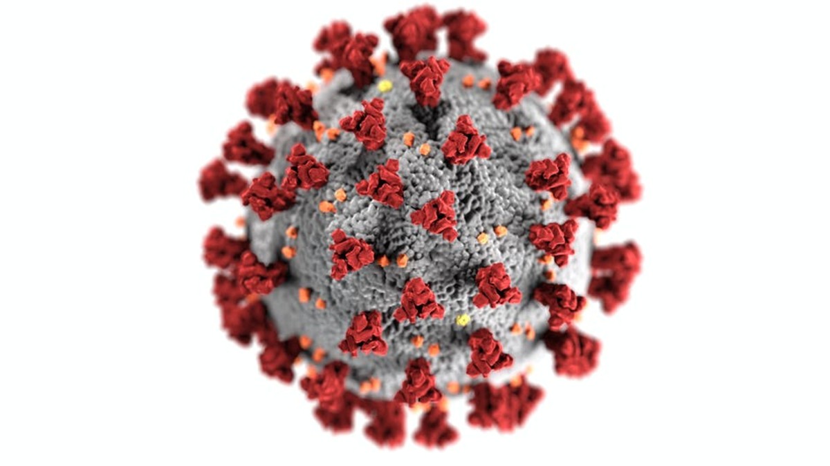 What If We Became Coronavirus and Omicron?