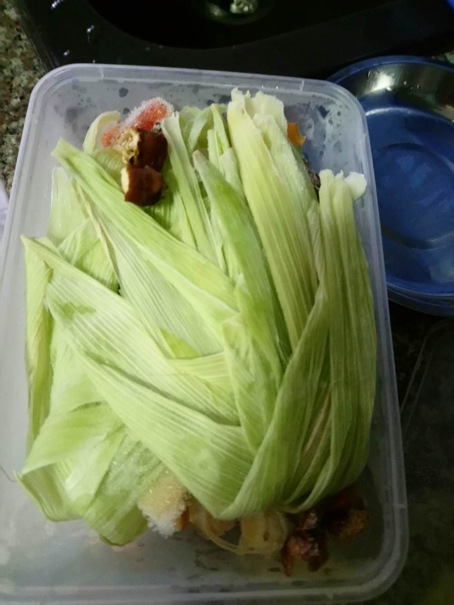 Collected vegetable scraps