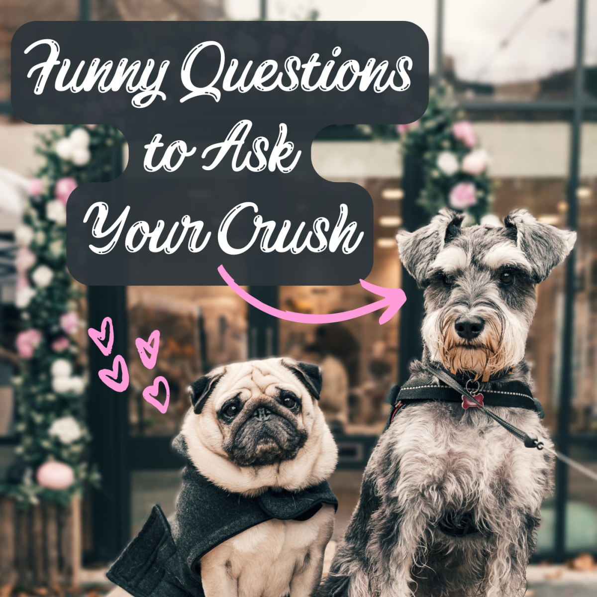 Do you feel tongue-tied around your crush?! Prepare to have a fun conversation with these witty questions!