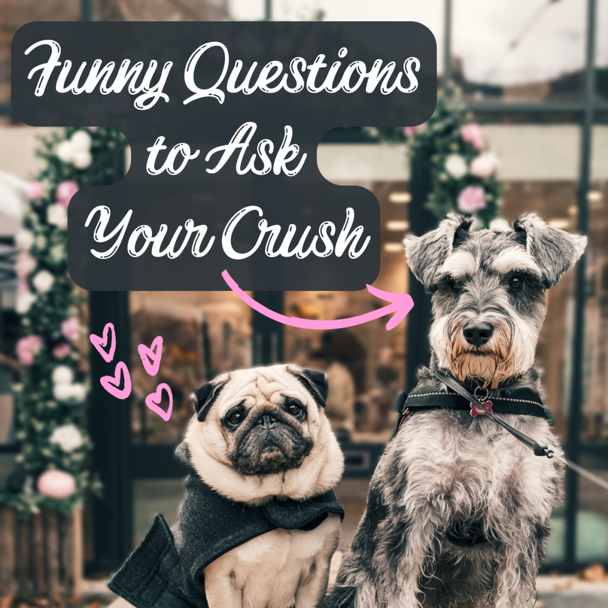 100 Funny Questions To Ask Your Crush PairedLife