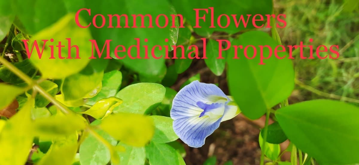Common Indian flowers with medicinal properties 