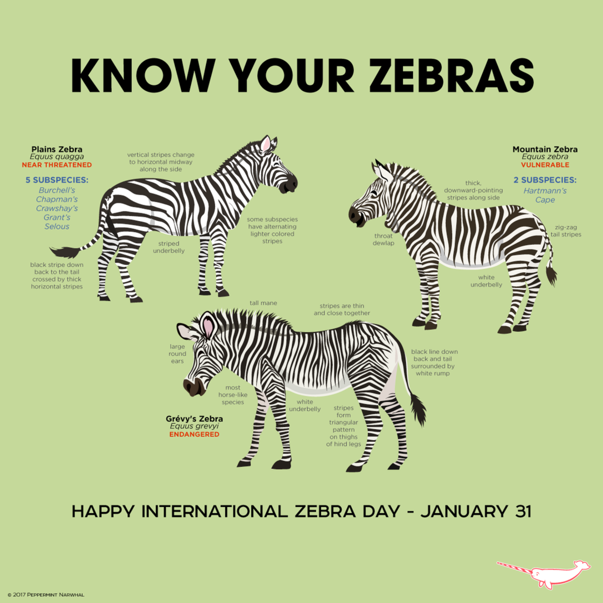 international-zebra-day