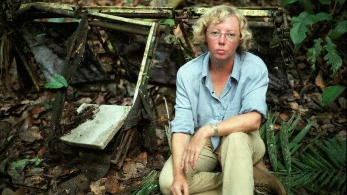 True Story of Survival: Juliane Koepcke Fell Out of an Airplane and Survived Ten days in the Amazon Jungle