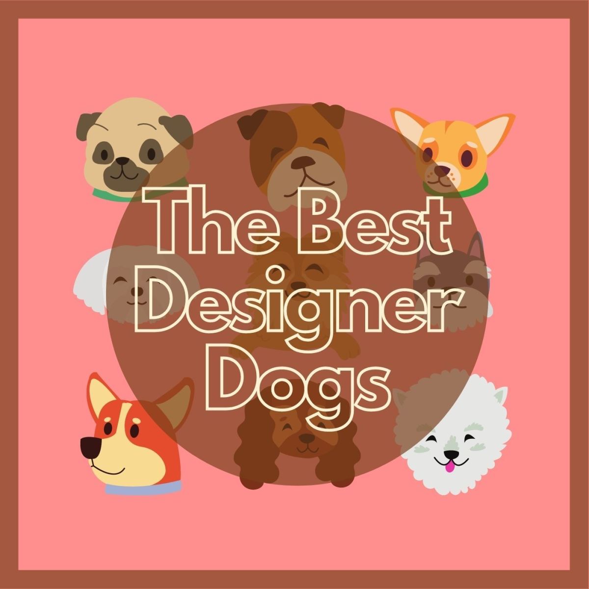 The 10 Most Popular Small Designer Dogs
