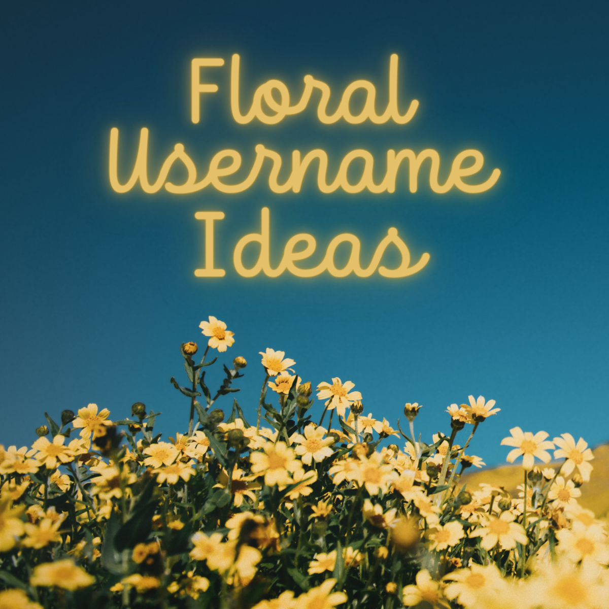 Floral usernames are classic, sweet, and always adorable!
