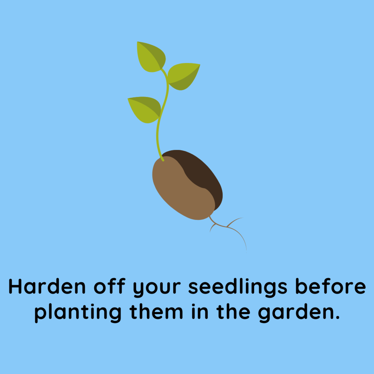 Hardening off your plants before planting them out in your garden is critical.