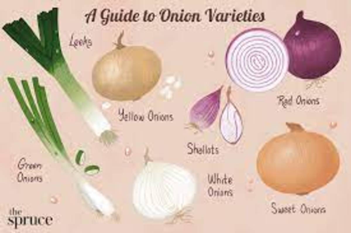 How Onions Boost Your Immunity