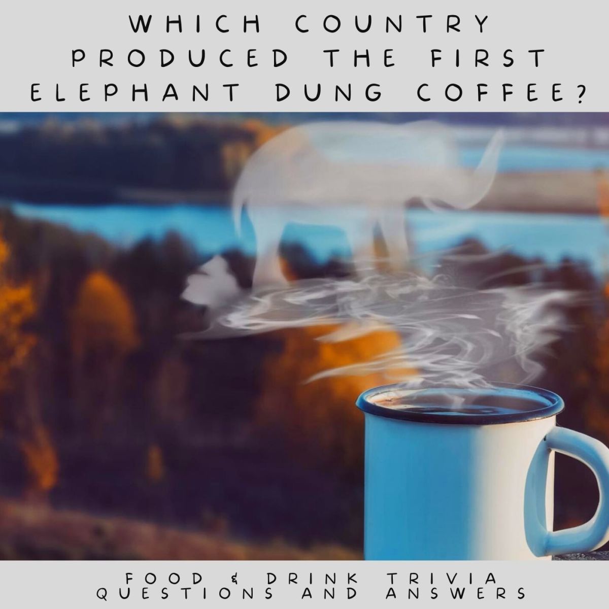 Food trivia question: Which country produced the first elephant dung coffee? Answer: Thailand.