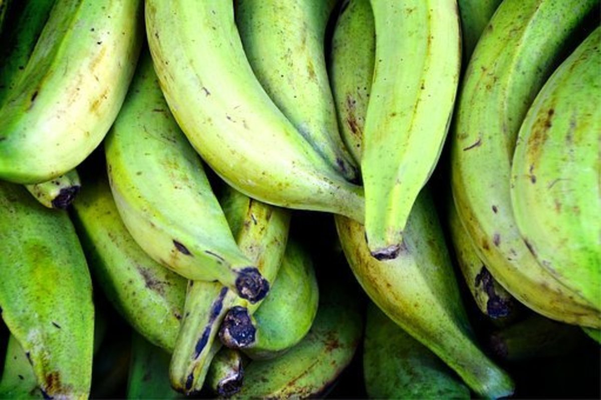 Unripe Plantain Benefits Your Sex Drive and Sexual Health