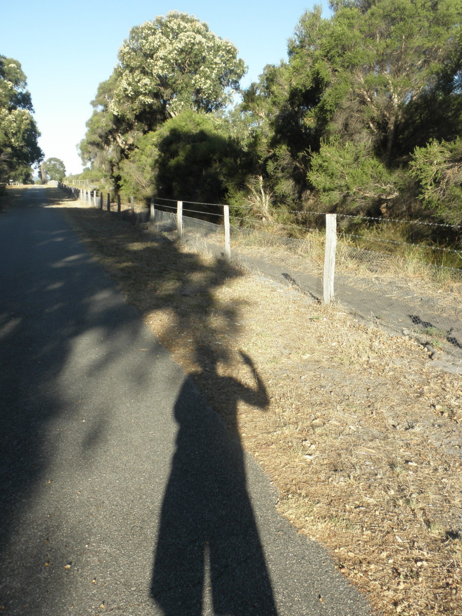 Are there any taboo topics to write a hub about?