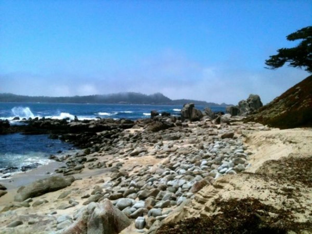 what-to-do-in-carmel-by-the-sea-california