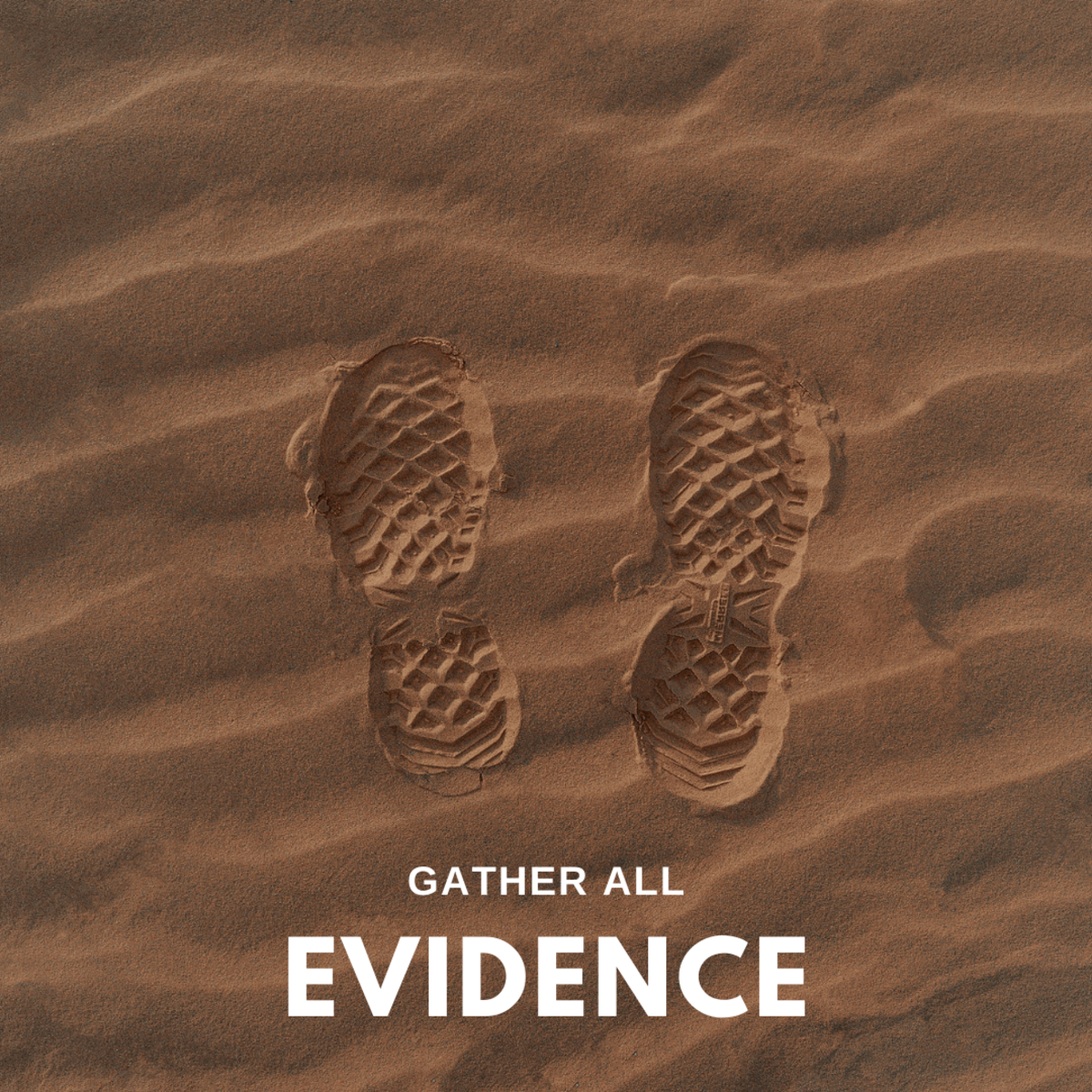 Gather the Evidence