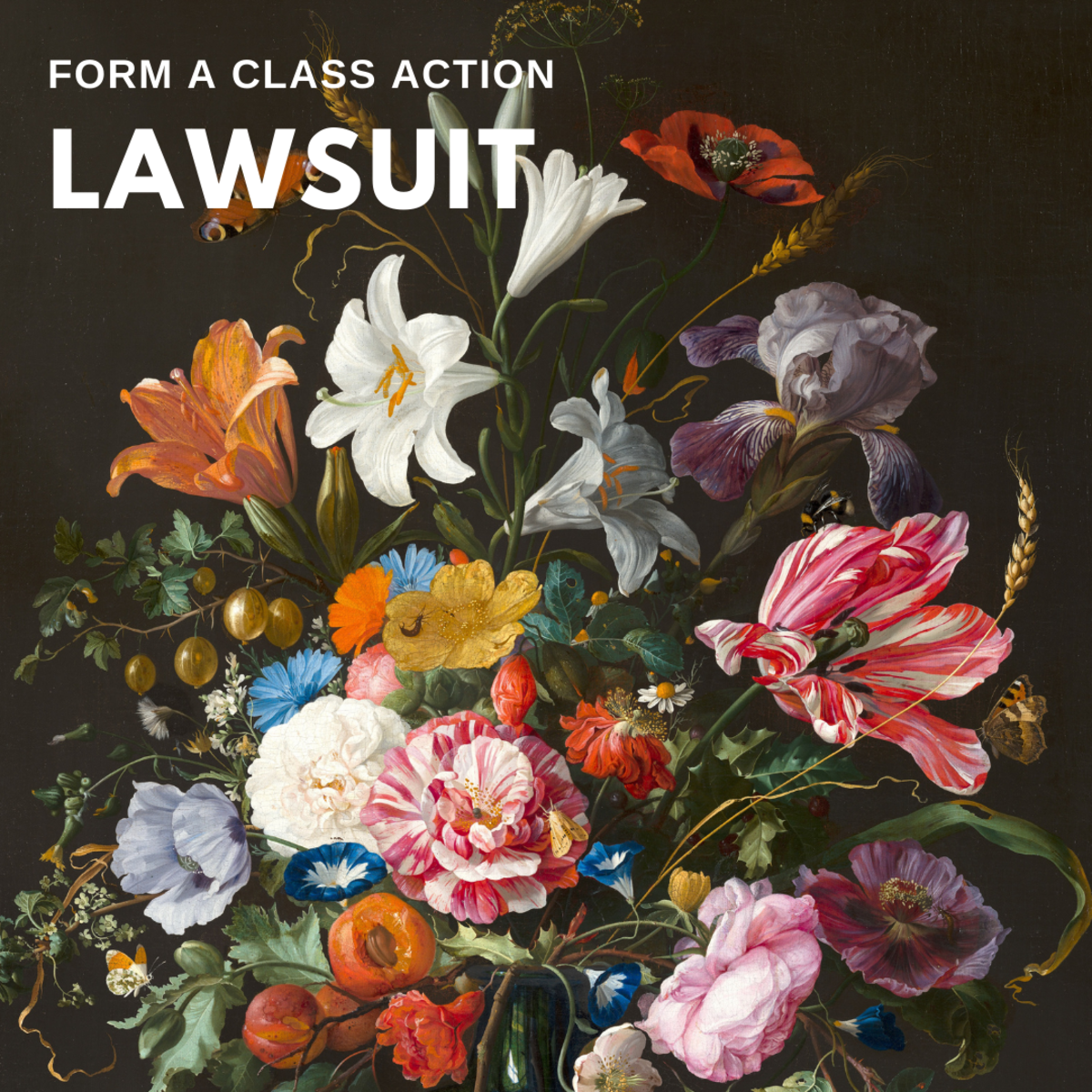 Organize a class action lawsuit.
