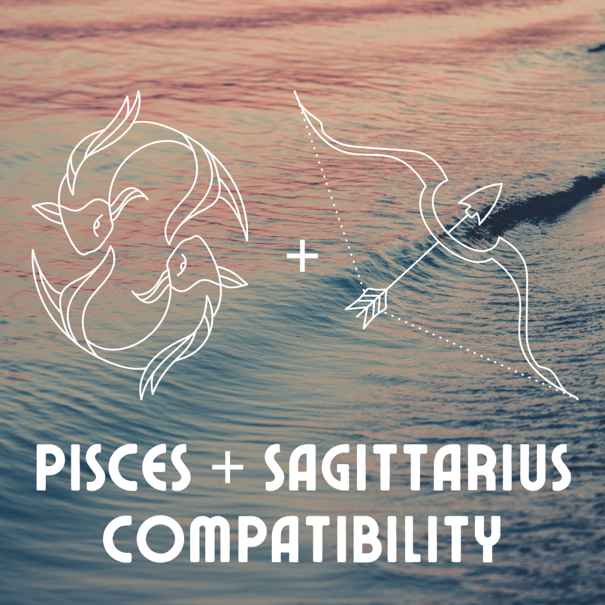 Check the astrocompatibility of the fish and the archer or centaur.