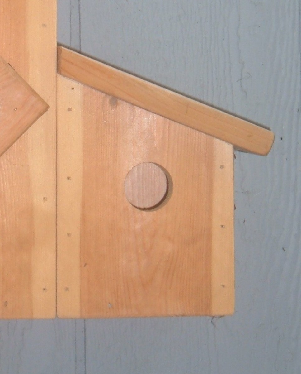 The smaller shed nest box attaches to the side of the main birdhouse