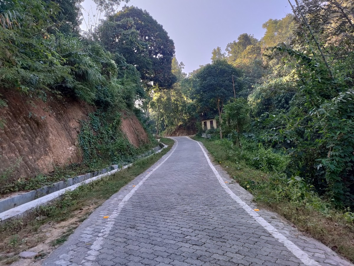 Road to Bhimashankar, Dakini Hills