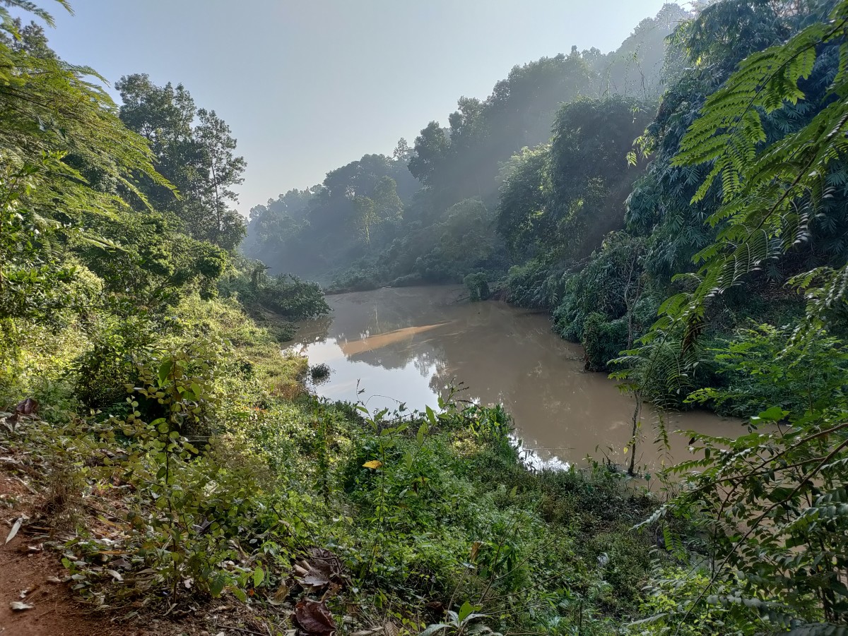 Dakini Hills; Bhimashankar, Assam