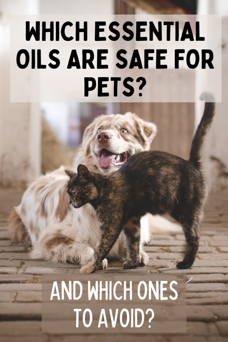 Which Essential Oils Are Safe For Pets? And Which Ones to Avoid?