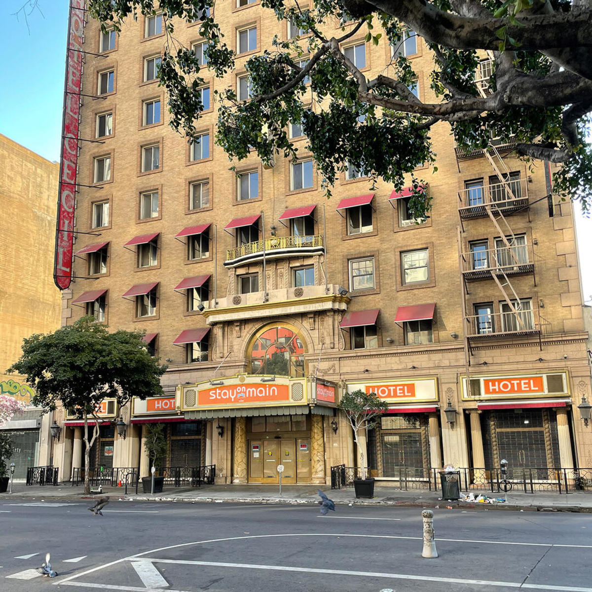 The Cecil Hotel in Los Angeles. This is where Elisa Lam died.