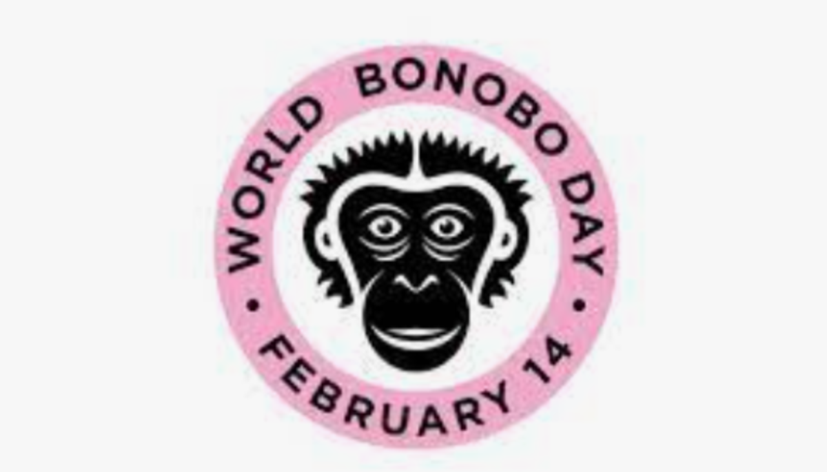 Check out World Bonobo Day on Facebook