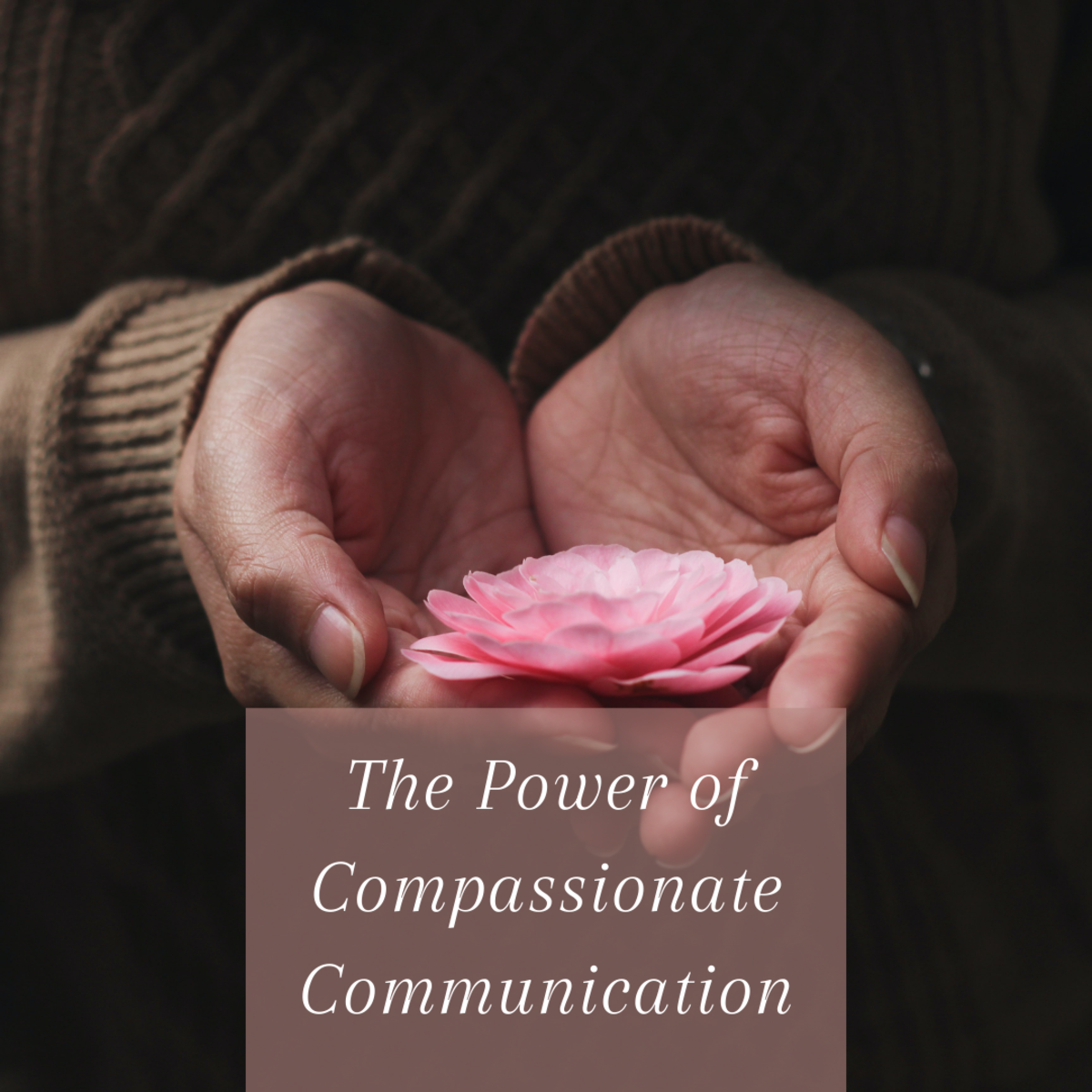 What Is Compassionate Communication?