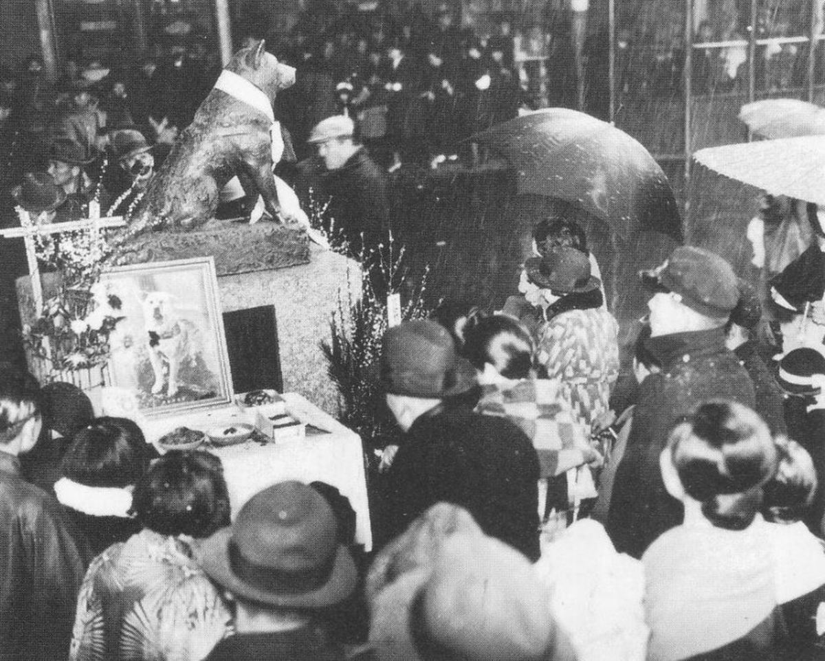 One year anniversary of Hachiko's death.