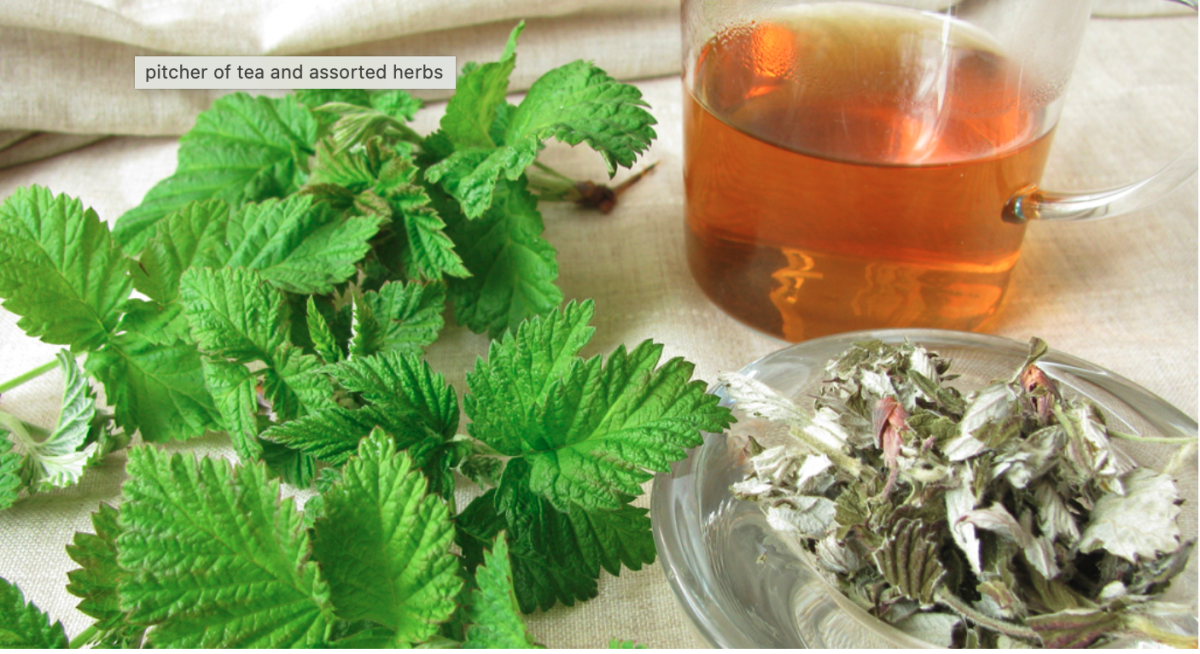 The leaves from the raspberry plant are used to make raspberry leaf tea.