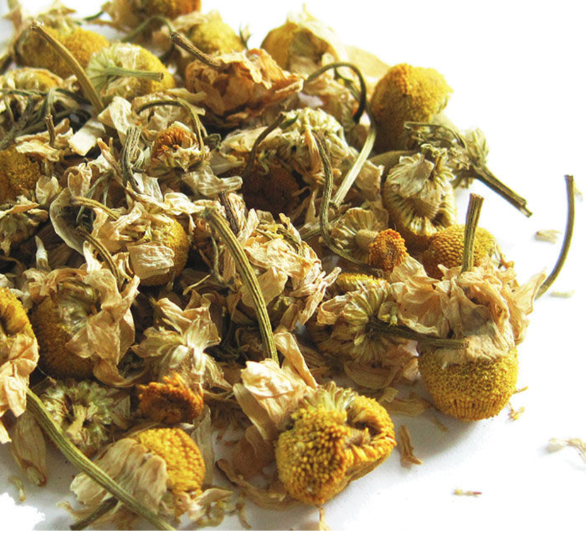 Chamomile tea comes for the dried flower heads of the chamomile plant.